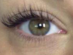eyelash15