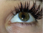 eyelash2